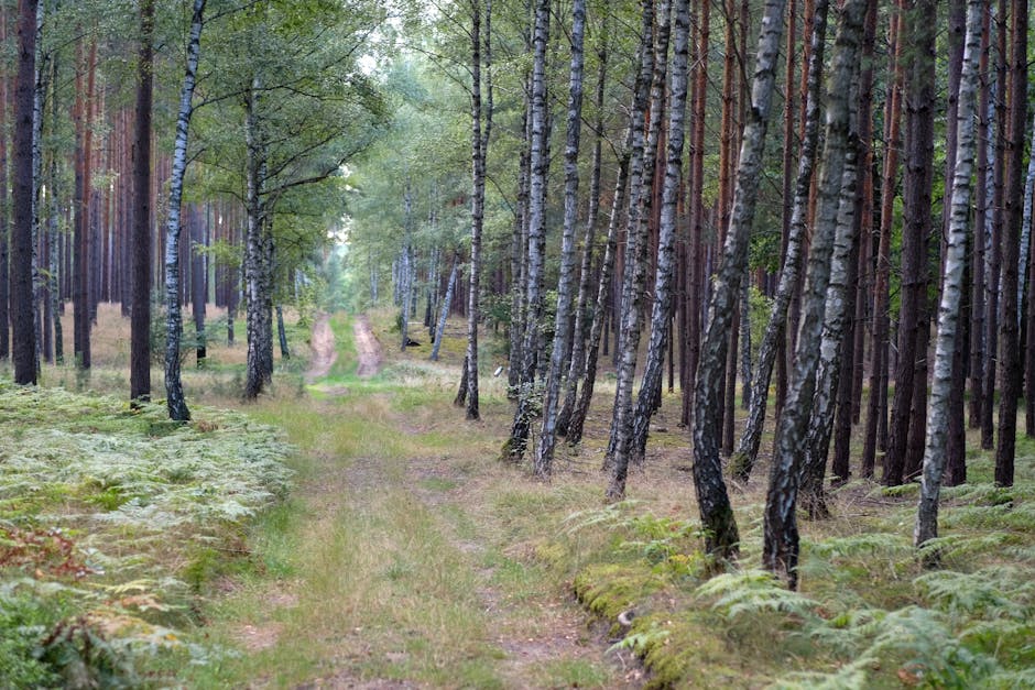 زندگی مبتنی بر ارزش‌ها: قطب‌نمای درونی برای رهایی از اضطراب و افسردگی